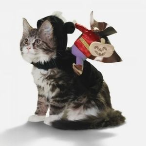 Pet Halloween costume